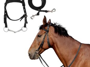 Briglia per cavallo OhMill con redini in nylon PP