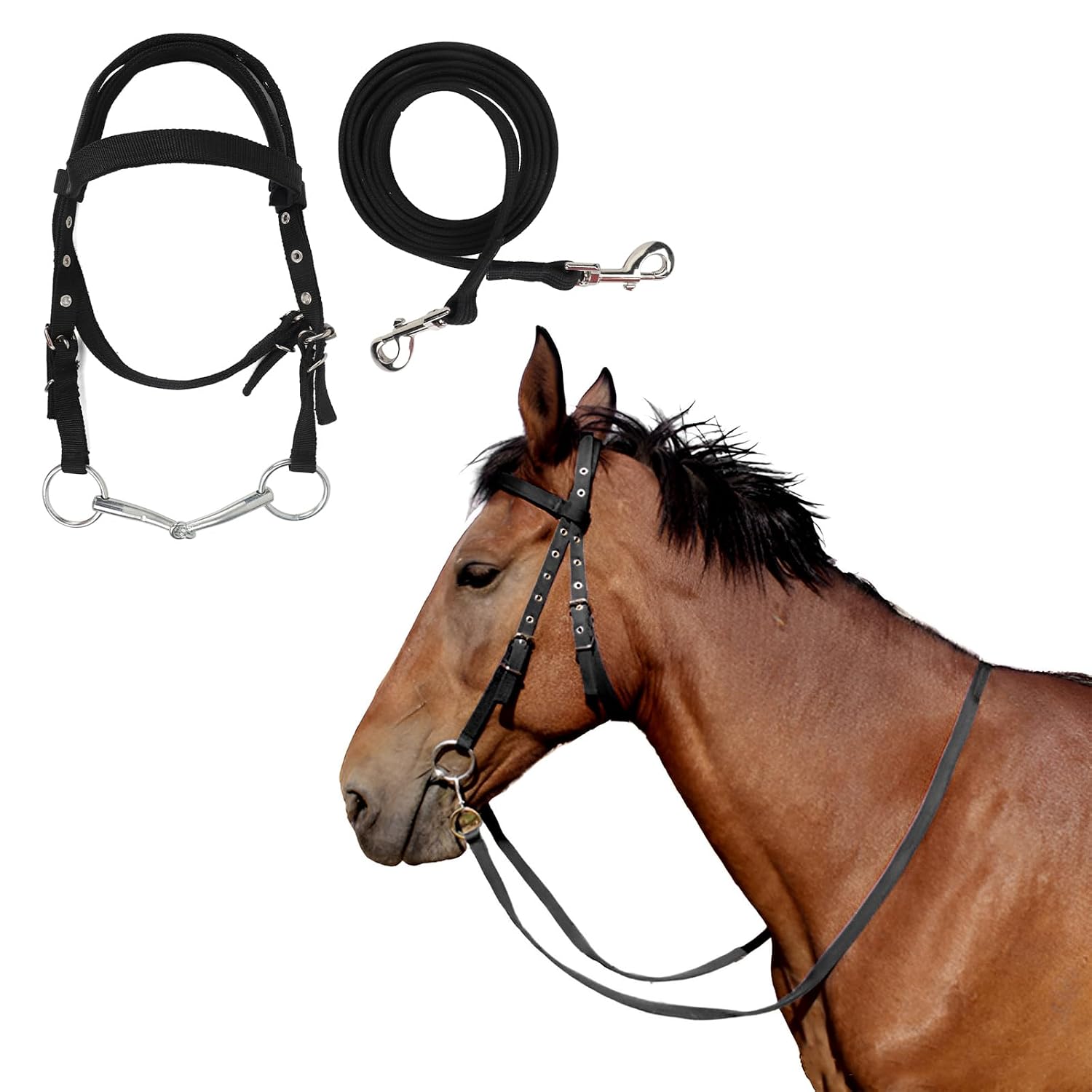 Briglia per cavallo OhMill con redini in nylon PP