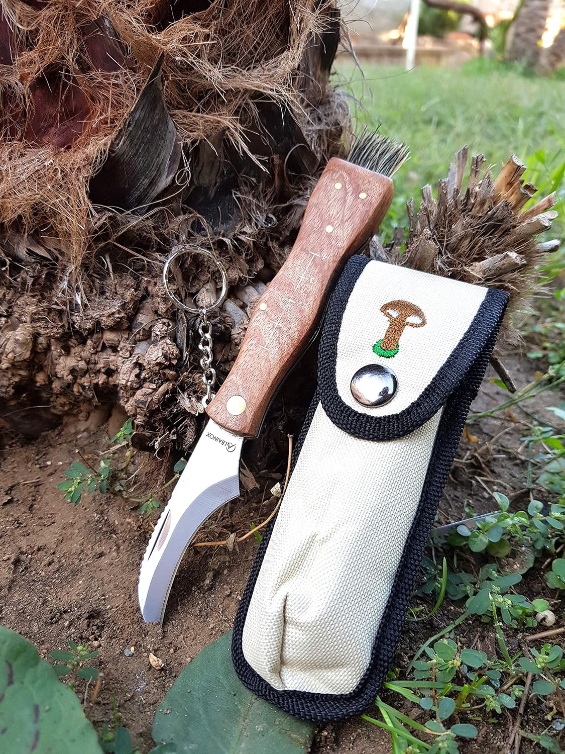 Coltello Albainox per funghi con spazzola e custodia
