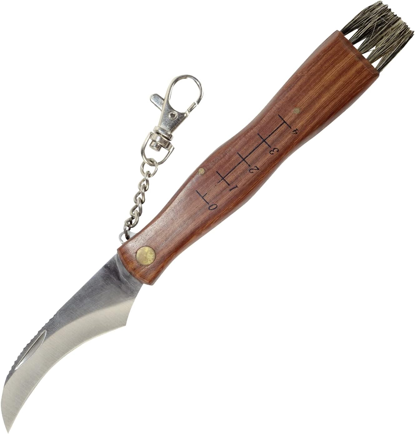 Greenmill Coltello Raccoglitrice Funghi 21 cm con Misura e Pennello