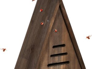 Relaxdays Casetta per Coccinelle in Legno Naturale