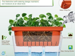 Fioriera autoirrigante 26,7 cm per piante aromatiche e grasse