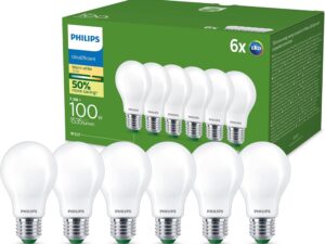 Lampadina LED Philips UltraEfficient 6xA60 100W 2700K
