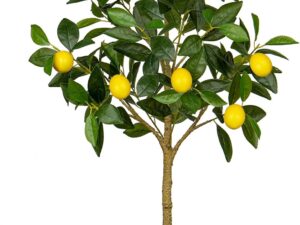 Oairse Albero di limone artificiale 100 cm in vaso nero