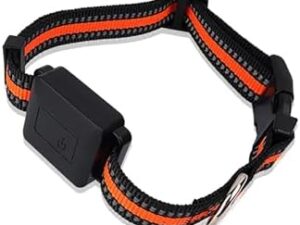Collare GPS per cani e gatti con recinzione wireless