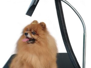 Supporto Asciugacapelli per Tavolo Toelettatura Animali