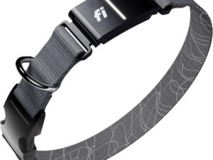 Fi Collare Smart Dog Tracker Serie 3+ con 6 mesi abbonamento