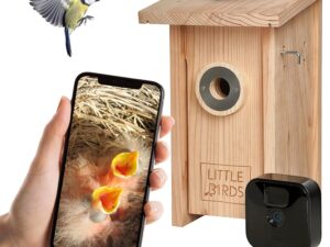 Casetta per uccelli Little Birds con telecamera lampeggiante
