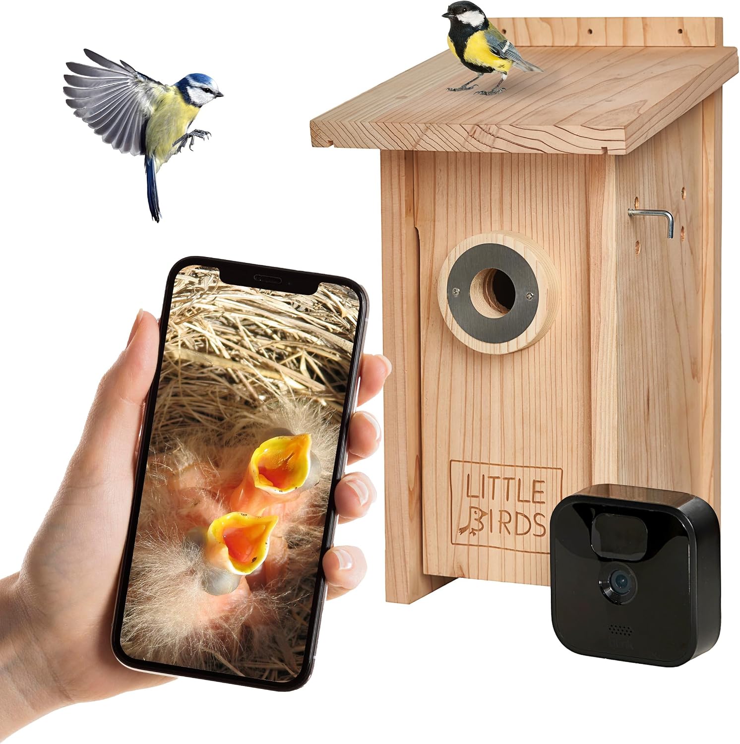 Casetta per uccelli Little Birds con telecamera lampeggiante