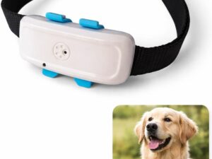 TKSTAR TK911 - GPS Tracker 4G per animali, solo 41 g