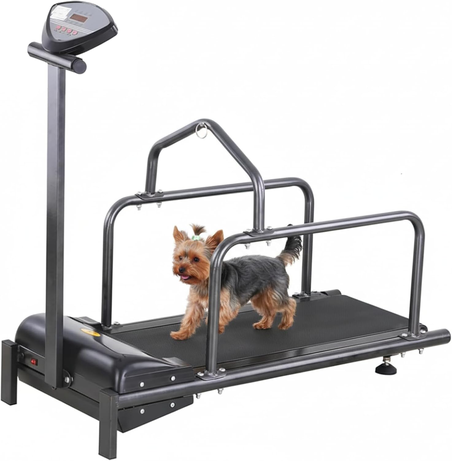 Tapis roulant per cani: per animali in forma e attivi