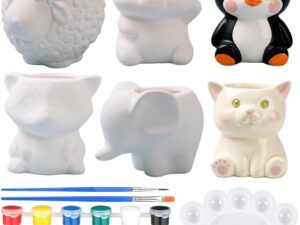 Kit pittura ceramica 21 pezzi: 6 vasi + colori per piante grasse