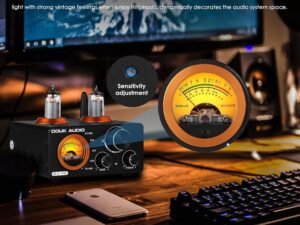Amplificatore Valvolare Douk ST-01PRO 200W con valvole GE5654W