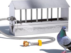 Abbeveratoio Automatico per Polli MasXirch in Acciaio Inox