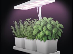 EMOS Lampada LED per erbe da interno con 3 vasi e timer