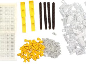 Kit allevamento api regina professionale Pilipane
