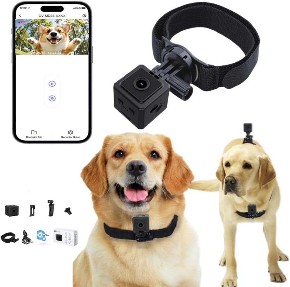 Telecamera per Cani 1080P Wireless con App Senza Abbonamento