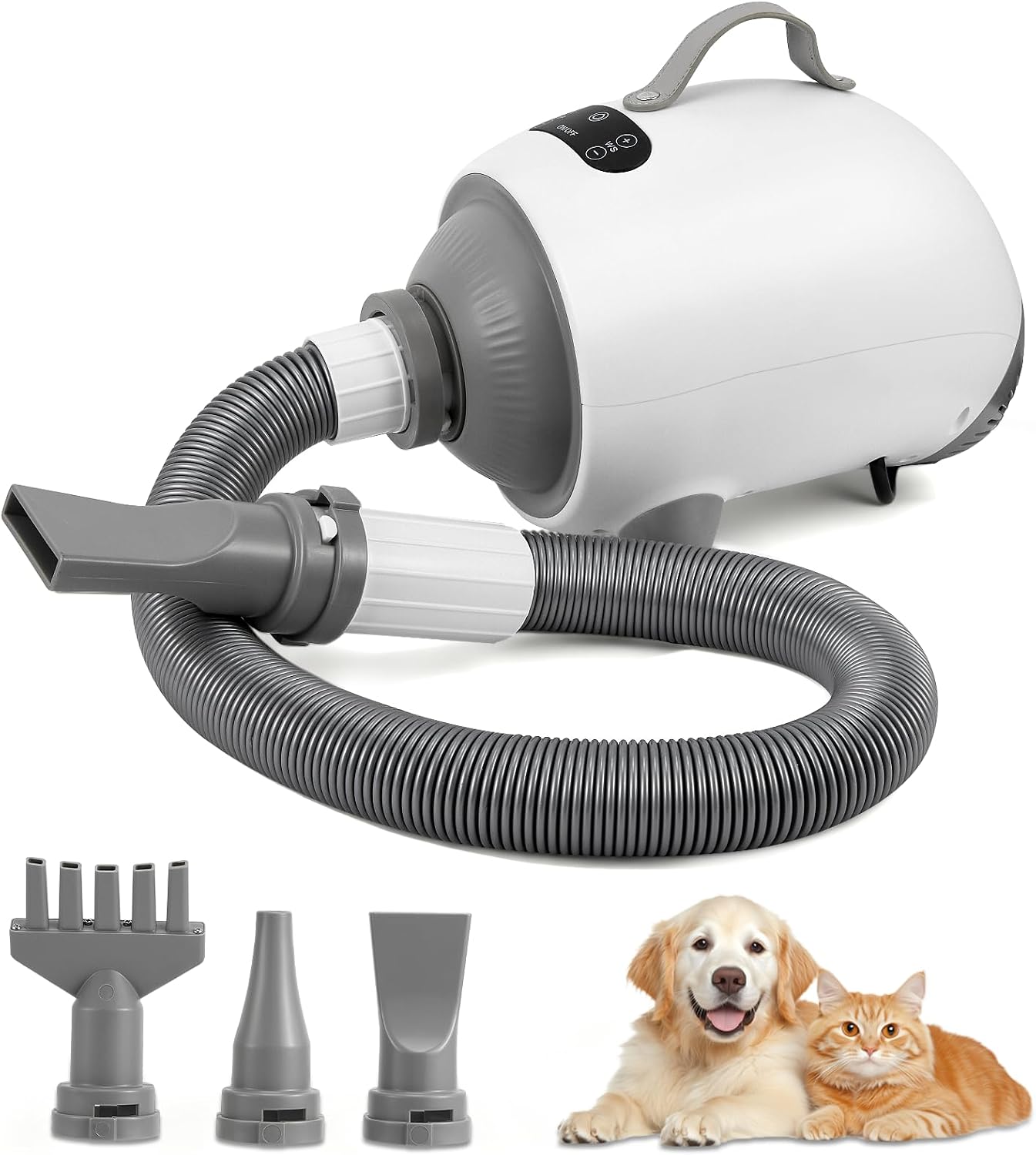 Asciugacapelli Professionale 2100W per Cani e Gatti