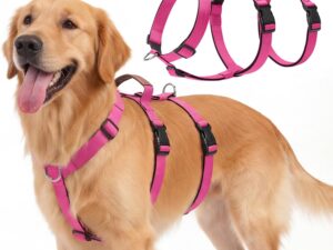 Pettorina Cane Taglia Media/Grande, Pettorina Antifuga Regolabile