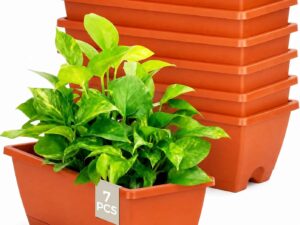 Set di 7 fioriere rettangolari 42 cm rosso - Bamworld