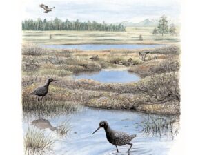 Lapland: A Natural History - Edizione Inglese