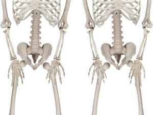 Jonami Scheletri Halloween 41cm - Set 2 Pezzi Realistici