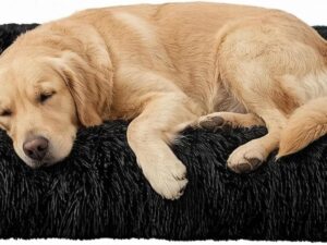 Cuccia Cane Interno Ravytha - Morbido e Lavabile