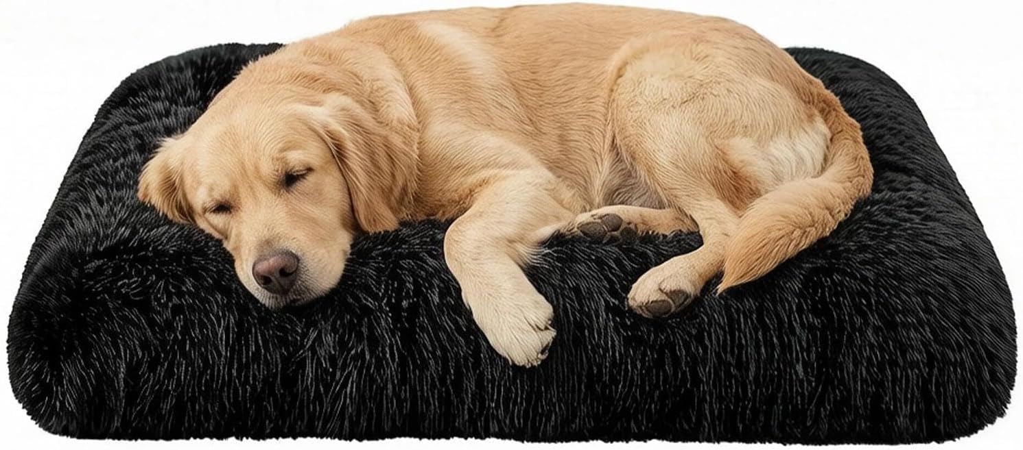 Cuccia Cane Interno Ravytha - Morbido e Lavabile