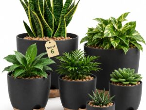 Bamworld Set 6 vasi autoirriganti neri con drenaggio