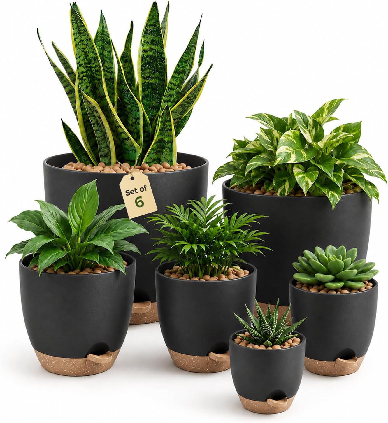 Bamworld Set 6 vasi autoirriganti neri con drenaggio