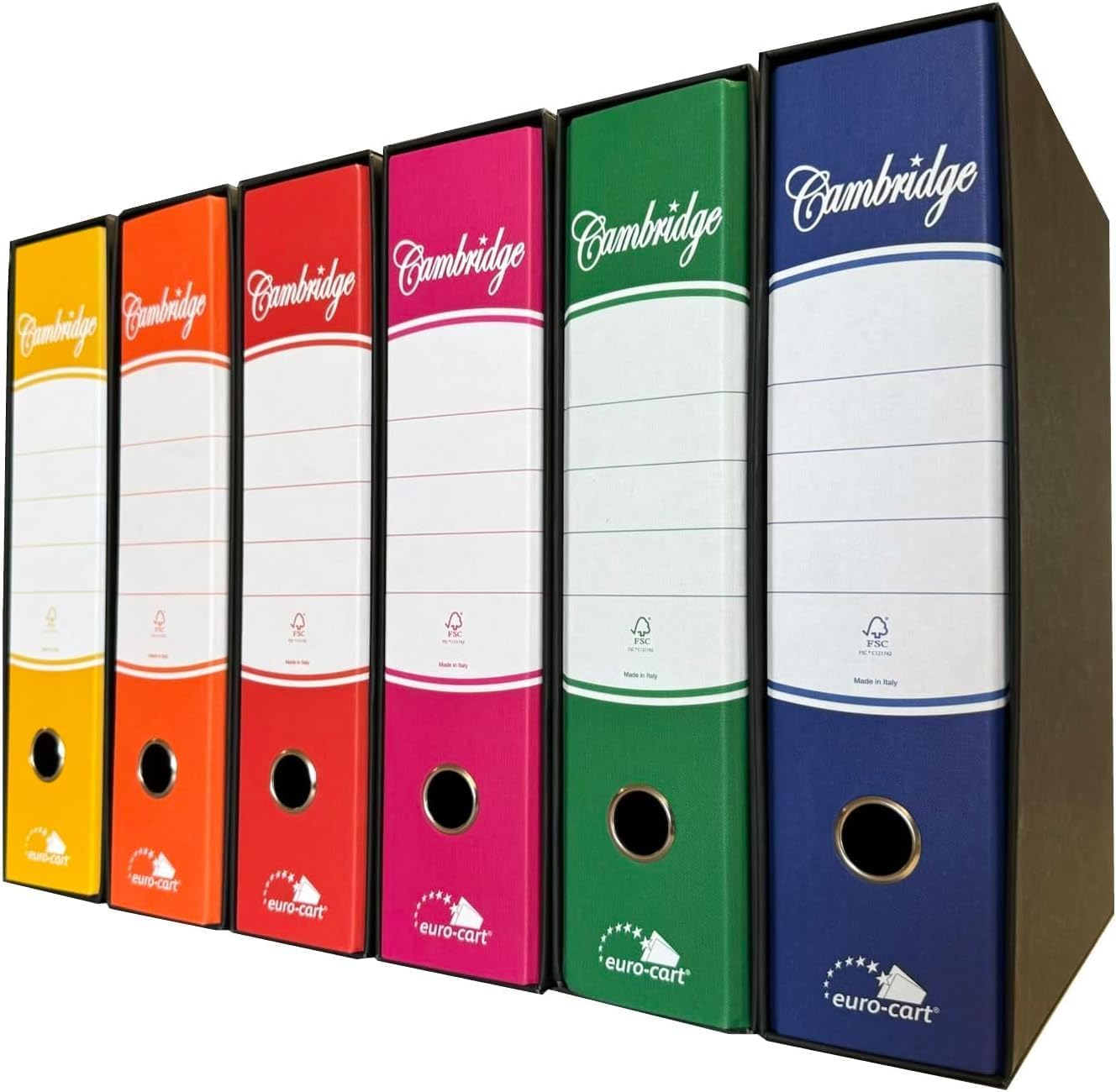 Registratore ad anelli A4 Euro-Cart con custodia - 6 colori