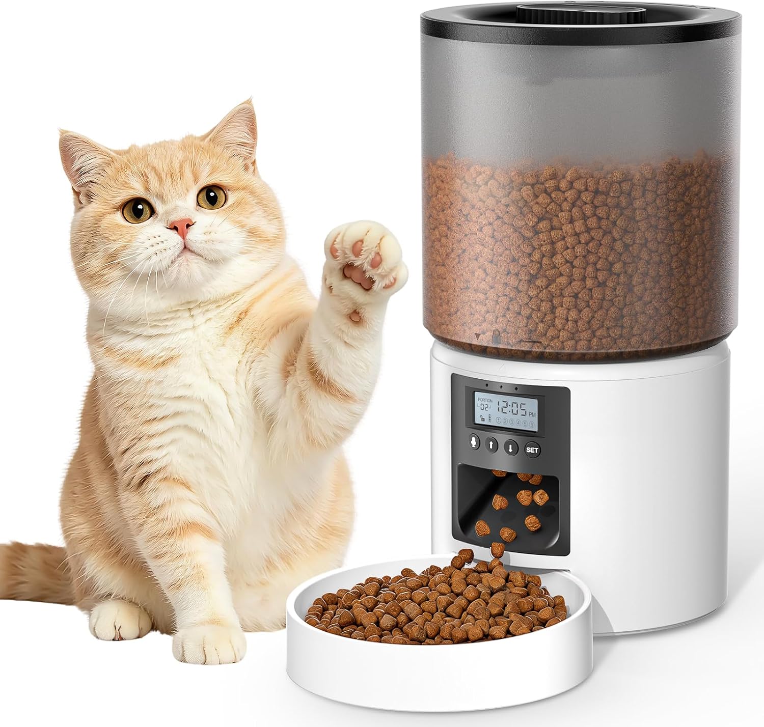 Distributore automatico cibo gatti PETVION 4L con timer