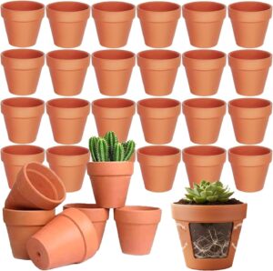 Vasi in terracotta mini con drenaggio, ideali per piante grasse