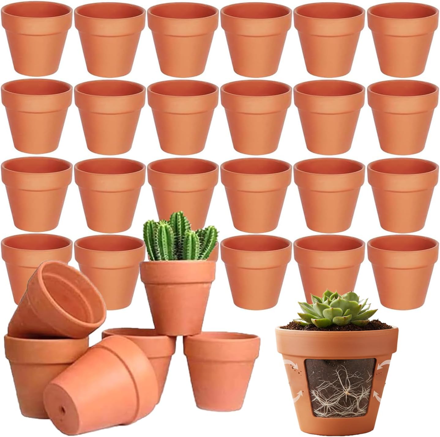 Vasi in terracotta mini con drenaggio, ideali per piante grasse