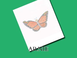 Arnie - Libro per bambini illustrato