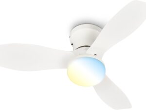 Briloner Ventilatore da soffitto LED 60 cm con telecomando
