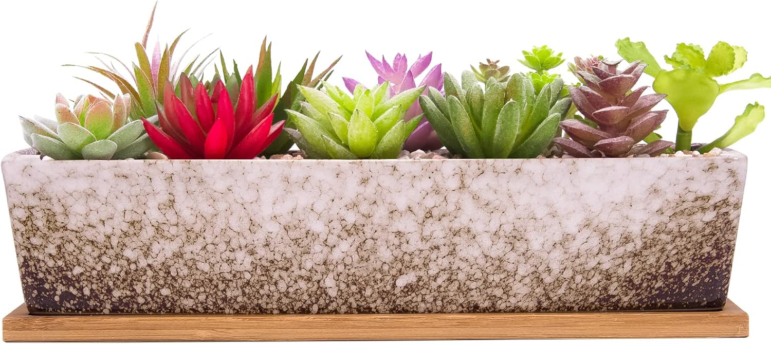 Vasi ceramica per piante grasse grandi 30 cm, rettangolari
