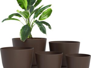 Set 5 vasi Utopia Home per piante (18-12 cm) con sottovasi