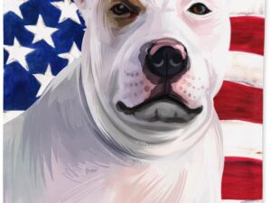 Bandiera USA a forma di Bully Kutta - Misura piccola