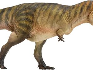 Dinosauri AMITD Carcharodontosaurus - Modello Scientifico