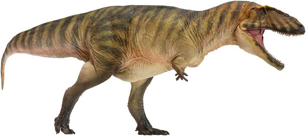 Dinosauri AMITD Carcharodontosaurus - Modello Scientifico