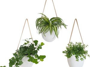 Set 3 Vasi Sospesi Gadgy | Fioriere da Parete in Ceramica