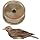 Globe Fishing - Richiami per uccelli (13 modelli)