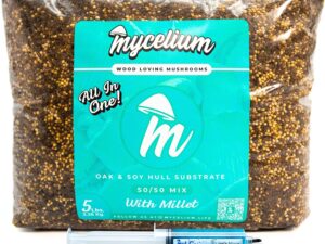 Kit funghi Lion's Mane Mycelium - Coltivazione facile e completa
