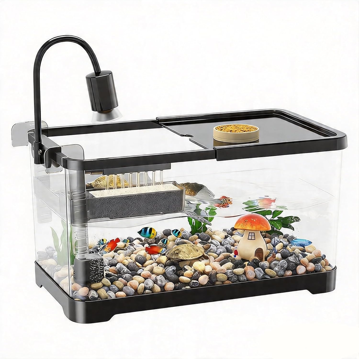 Acquario per Tartarughe con Piattaforma Regolabile