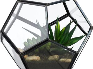 Relaxdays Terrario Mini Serra Vetro Nero 12x14 cm