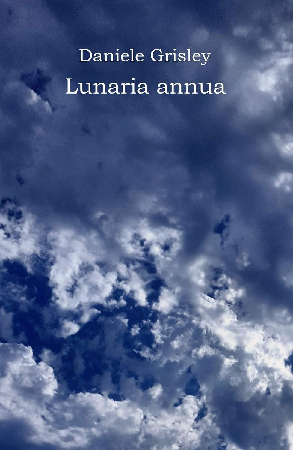 Lunaria annua - Guida botanica di Daniele Grisley