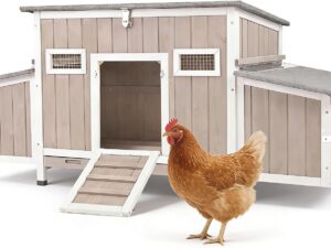 Pollaio Gowoodhut Coop84 NoRun per 2-4 galline