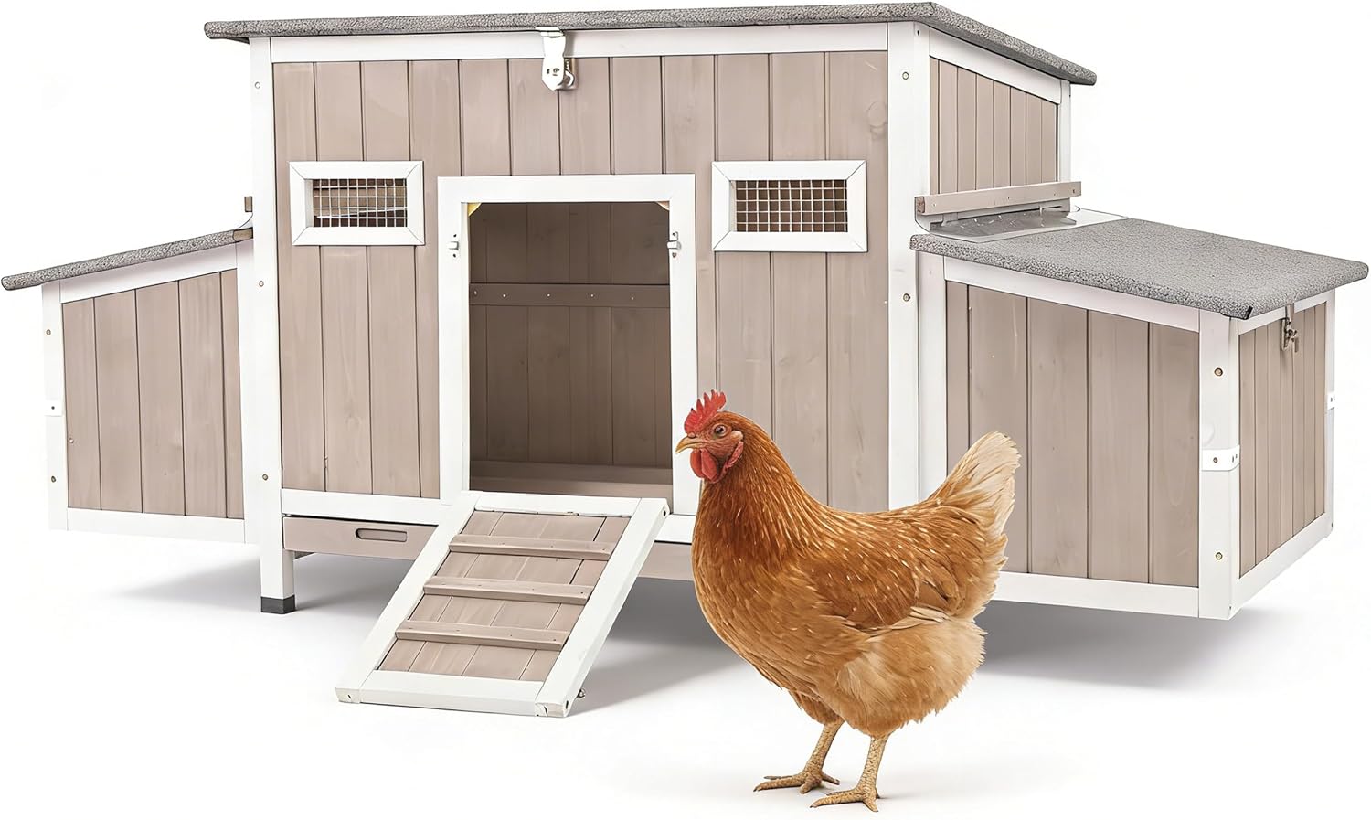 Pollaio Gowoodhut Coop84 NoRun per 2-4 galline