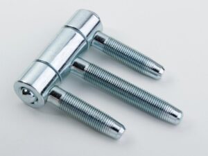 2 Cerniere Anuba zincate 18 mm per porta